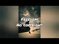 Download Lagu Freedom |No Copyright| Music for Content Creator|