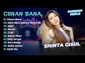 Download Lagu Shinta Gisul - CIINAN BANA - GARA GARA SEBOTOL MINUMAN || DANGDUT KOPLO 2024