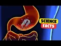 Lagu Mga Science Facts na Parang Peke — Pero Totoo - Part 3