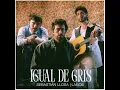 Sebastián Llosa & LAGOS - Igual de Gris (Audio Oficial)