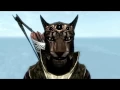 Skyrim - Best Shot in the World