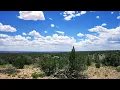Gorgeous 40 Acres in St Johns with Trees No Neighbors No Restrictions