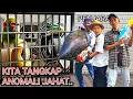 Download Lagu AKHIRNYA TERTANGKAP!😱Anomali BRAINROT yang Kabur Dari Markasnya?!! | Mikael TubeHD
