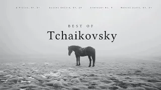 Best Of Tchaikovsky Classical Music Gems 