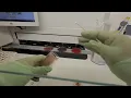 Specimen Processing