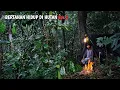 Download Lagu Berpetualang dan Camping, bertahan hidup di hutan selama beberapa hari, SURVIVAL | KANG KUMANG