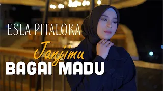janjimu bagai madu elsa pitaloka