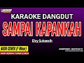 Download Lagu SAMPAI KAPANKAH KARAOKE DANGDUT - ELVY SUKAESIH