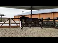 Lagu Noblesse (Bernay x Jazz)
