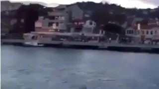 دبلو زهور وبين هالسجرات في طيرين   فيروز دندنها