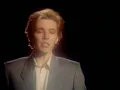 David Sylvian & Ryuichi Sakamoto - Forbidden Colours