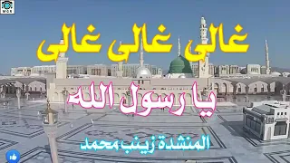غالى غالى يا رسول الله 