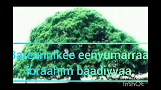 Abraahim Baadiyyaa 