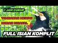 Lagu Masteran Jalak Suren Isian Kreasi Gacor Full Isian Tembakan Mewah Cililin Asli