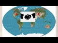 Article 2 The Executive Branch