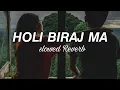 Download Lagu Holi Biraj Ma  Genius Movie  Song  Slowed Reverb Song  Lofi Song