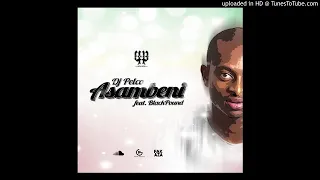 dj pelco ft blaqpound asambeni vox mix 