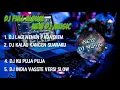 Download Lagu DJ LAGI NENEN PADA DIEM FULL ALBUM