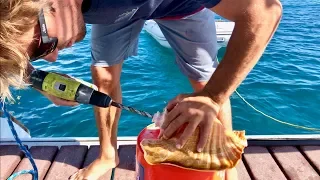 Making a Conch Horn