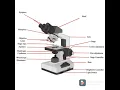 Microscope its parts functions significances and reasonings made easy