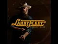 Mix 'Em With Whiskey - Larry Fleet