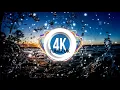 Stonebridge - Put 'Em High (2004) (4K Tunez UK)