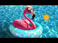 Roger Whittaker, Stereoact - Ein bisschen Aroma (Stereoact Remix / Lyric Video)