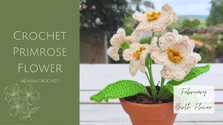 crochet primrose pattern february birth flower create realistic flowers with moara crochet