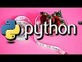 Build a Simple Diet Tracker With Python