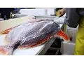 Download Lagu Fish Filleting- Opah