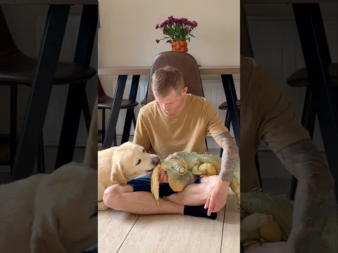 The Most Unexpected Banana Sharing Duo 🦎🐶🍌 #foryou #animals