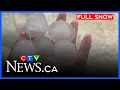 Alberta town pummeled in hailstorm CTV News Calgary at 6 for August 12 2026
