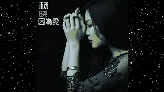 Download 楊曉-夜空中最亮的星 MP3