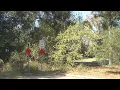 A Gainesville wildlife area could be the site of a new University of Florida golf course