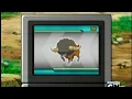 Bouffalant Pokedex Entries wmv