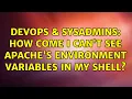 DevOps SysAdmins How come I can t see apache s environment variables in my shell