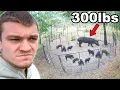 I Trapped Hogzilla Extreme Problem
