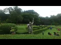 Download Lagu Sore di Kebun Raya Bogor