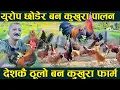 Download Lagu युरोप छोडेर बन कुखुरा पालन, देशकै ठुलो कुखुरा फार्म  ban kukhura nepal