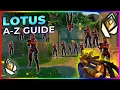 COMPLETE Lotus Entry Defense Angle Guide 2026