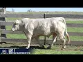 LOT 1 MINNIE VALE VALEDICTION V2E PS