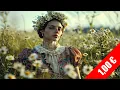 Meadow Muse: Daisy Field Dreamscape Stock Video