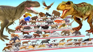 Ultimate Battle 50 Wild Animals vs T-REX DEATH RUN Zigzag Down Course! from Outside ARBS Adventure