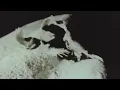 Timber Timbre - Black Water