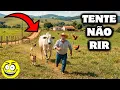 Vídeos Engraçados e Memes - TENTE NÃO RIR 2025 #comedia #memes #tentenãorir2025 #videosengracados