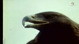 ألا يا عين هل ي دموعك يا شقي ه    على وقت  مضالي ألا يا عين هلي   غناء   يوسف ممدوح  دندنها