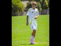 Luke Williams Highlight 24-25