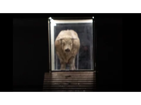 Moses und Aron | Philippe Jordan & Romeo Castellucci | Opéra de Paris 2015 (DVD/Blu-ray trailer)