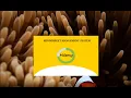 C Full Project Tutorial Minimarket Management System With source code and sql sever for beginner