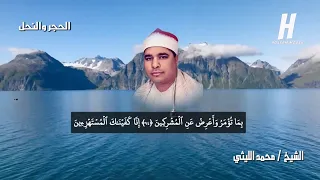 الشيخ محمد الليثي L الحجر والنحل ناهيا 1997 المولد النبوي ﷺ L نسخة نقية HD 